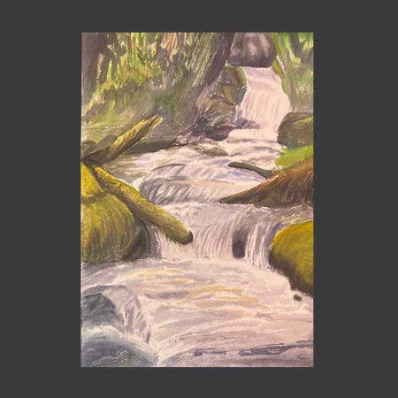 Río de montaña