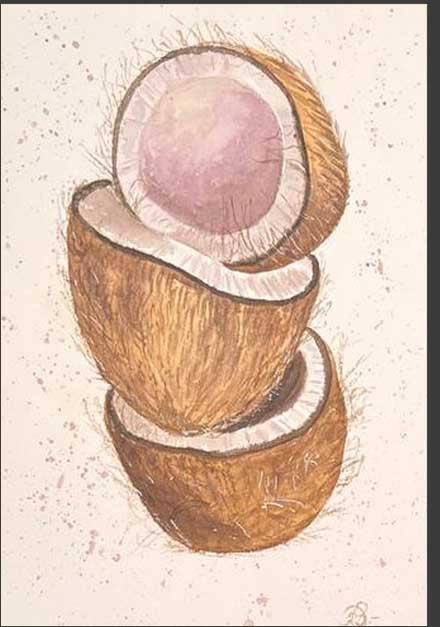Cocos