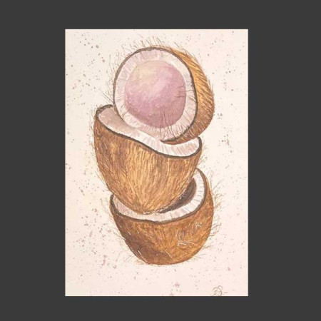 Cocos