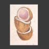 Cocos