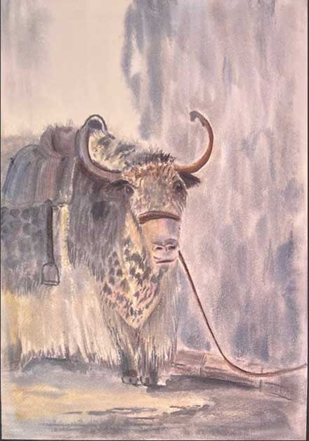 Búfalo
