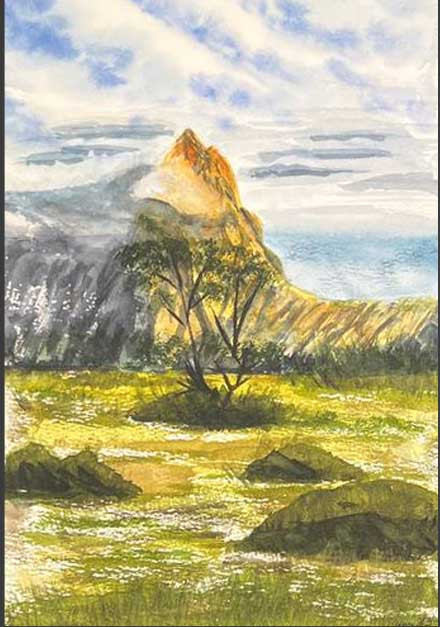 Árboles en el campo