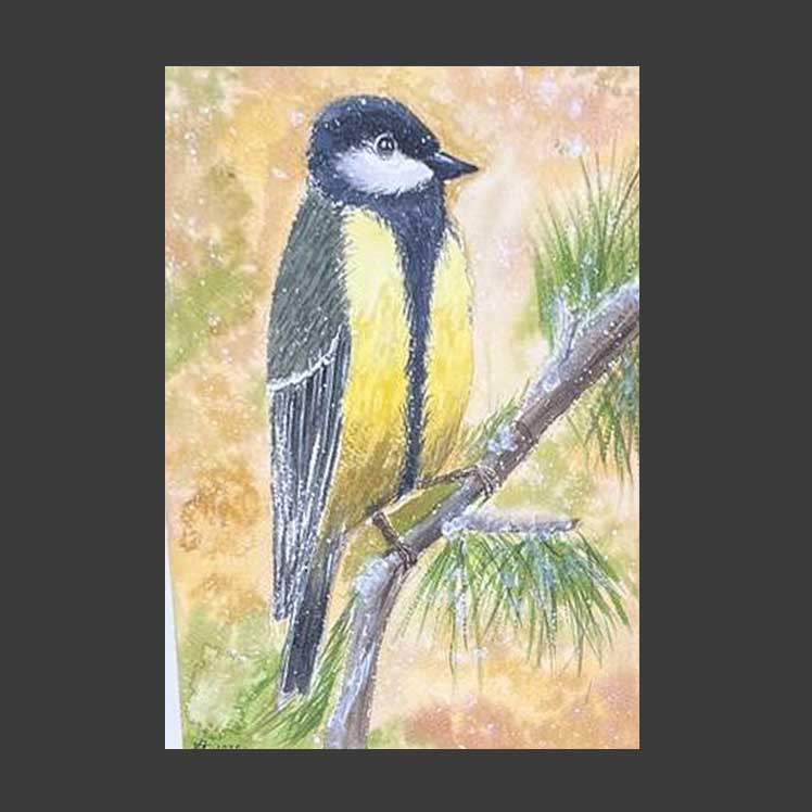 Titmouse