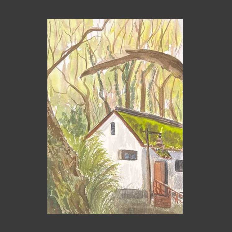 House on the edge of the forest