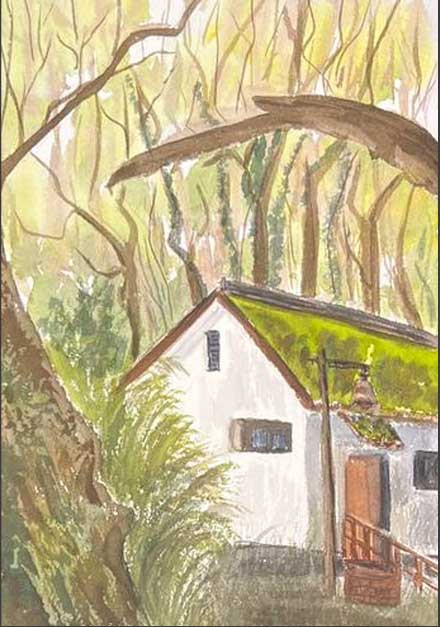 House on the edge of the forest