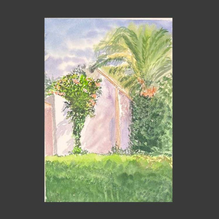 Casa con palmeras