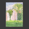 Casa con palmeras