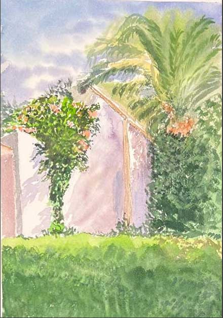 Casa con palmeras