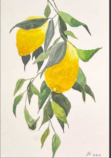 Lemons