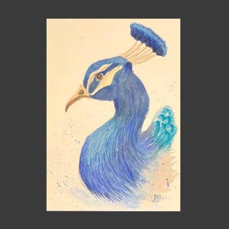 Pavo real