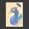Pavo real