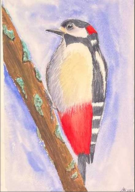 Pájaro carpintero