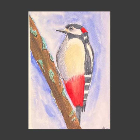 Pájaro carpintero
