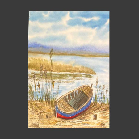 Barco en cañas