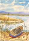 Barco en cañas