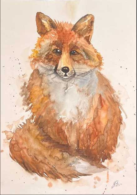 Zorro