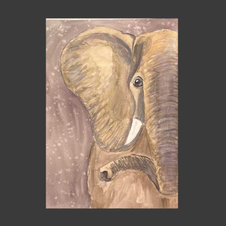 Elefante