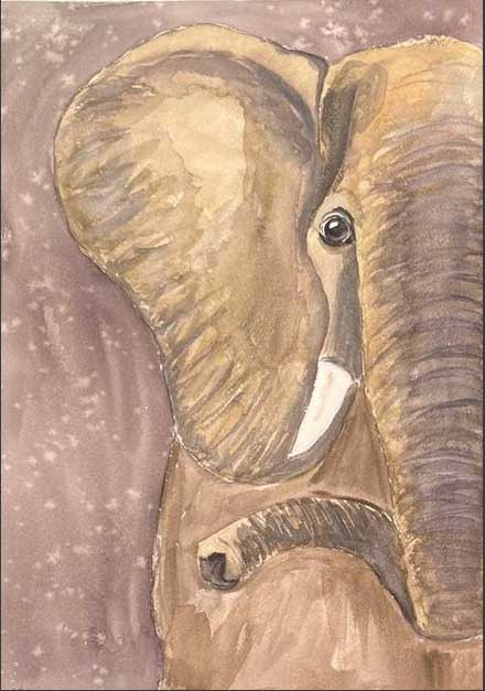 Elefante