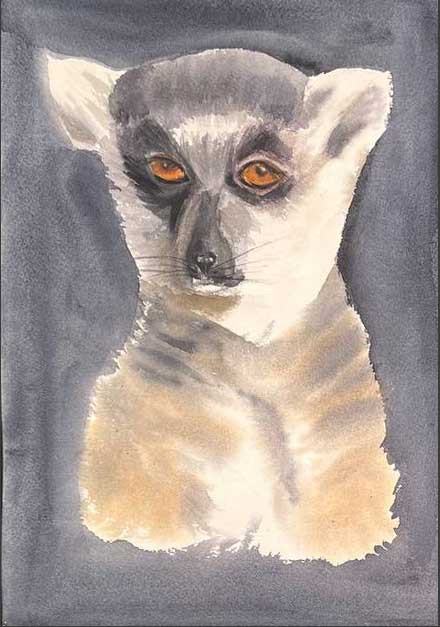 Portrait of a lemur