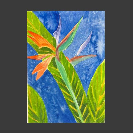 Strelitzia