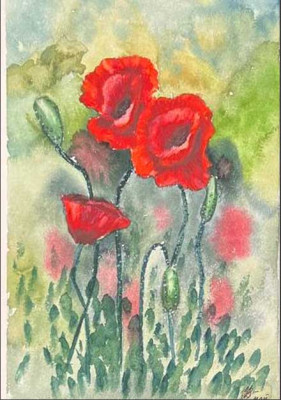 Красные маки