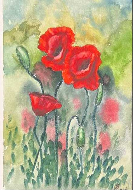 Красные маки