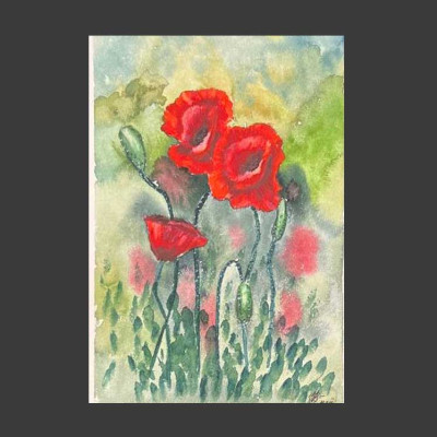 Красные маки