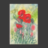 Amapolas rojas