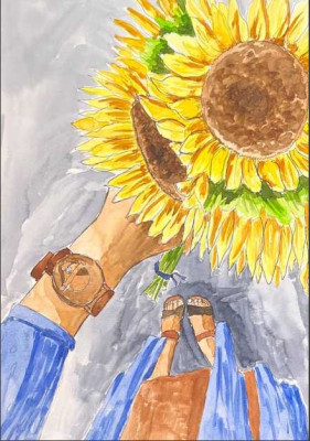 Подсолнухи