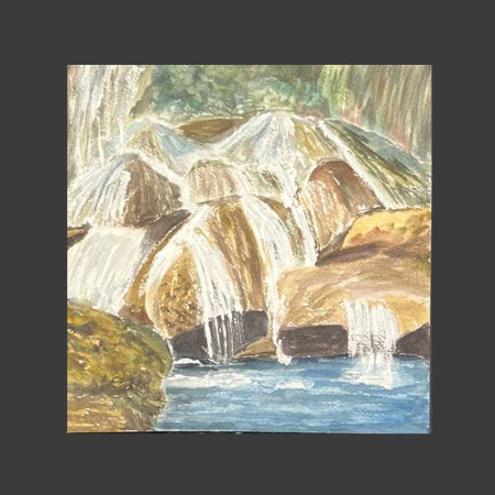Bosque y piedras