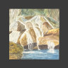 Bosque y piedras