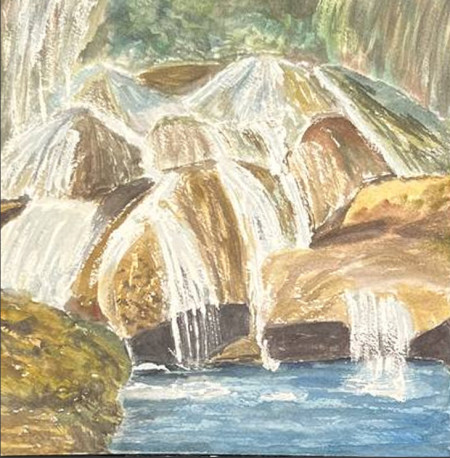 Bosque y piedras
