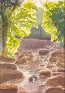Canal de agua