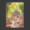 Canal de agua