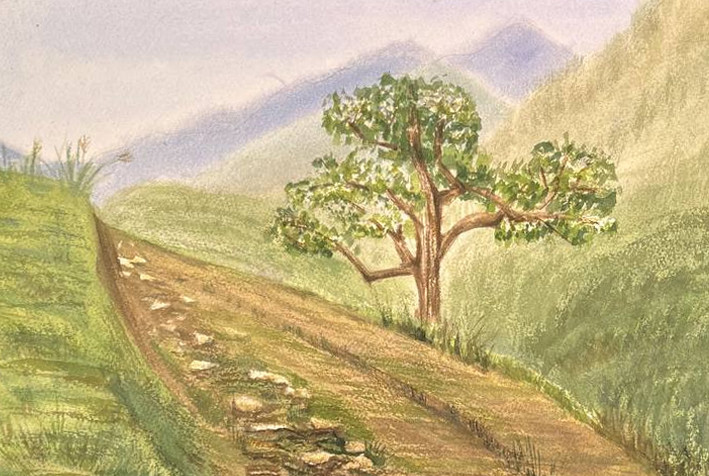 El camino en las montañas