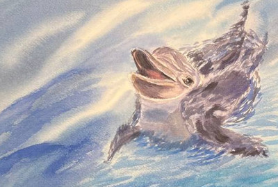 Dolphin