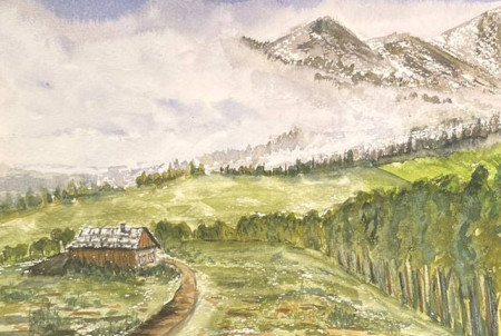 Cabaña en el campo