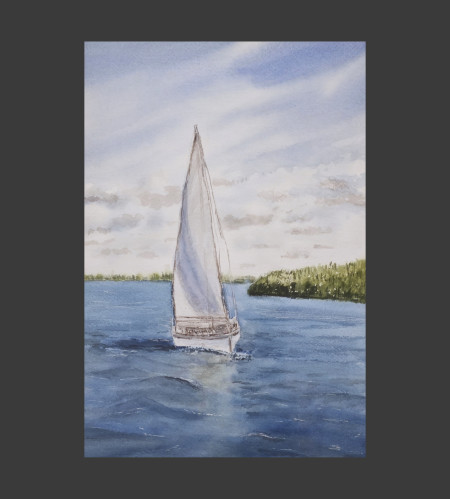 Velero blanco