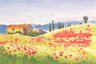 Casa entre amapolas