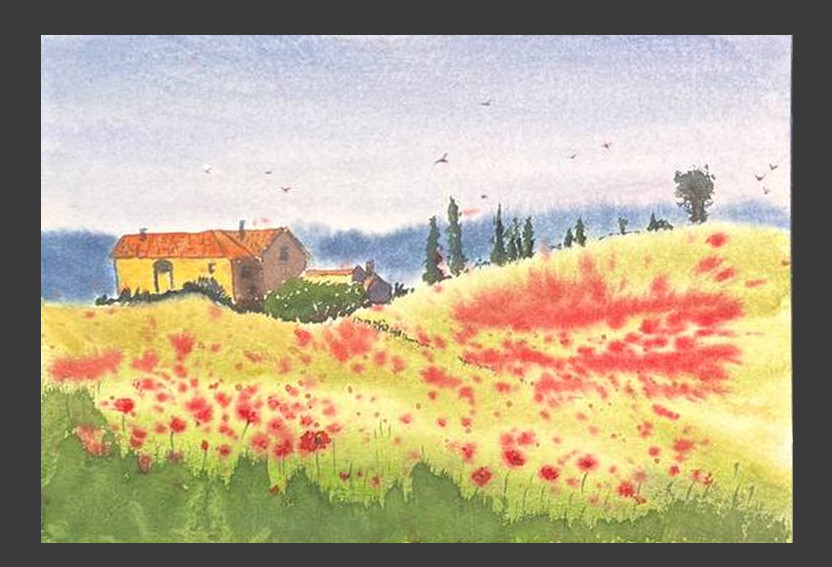 A house among poppies