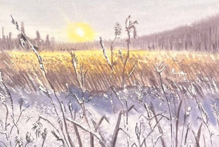 Puesta de sol en el campo