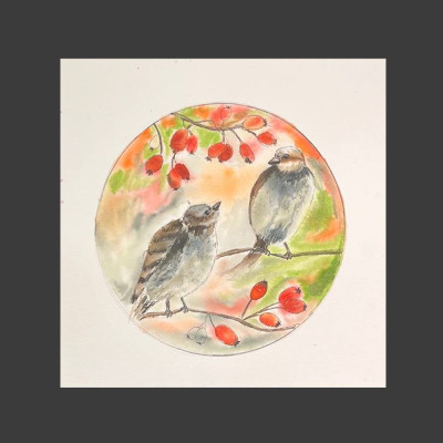 Sparrows in the rosehip
