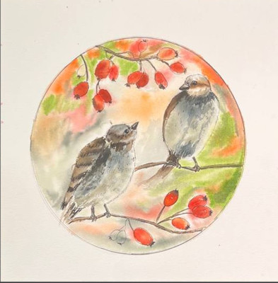 Sparrows in the rosehip