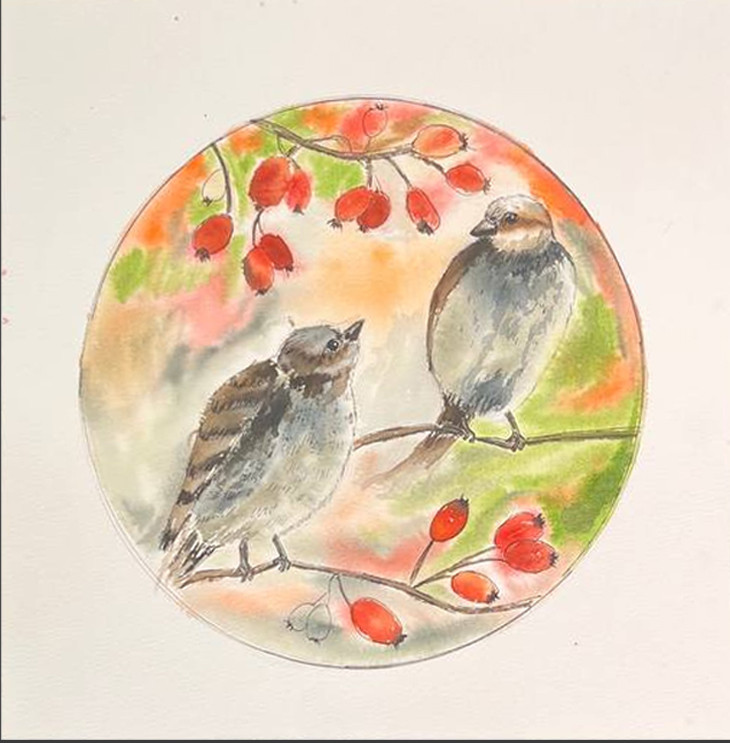 Sparrows in the rosehip