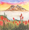 Campos de amapolas y montañas