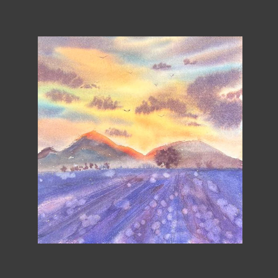 Puesta de sol en campos de lavanda