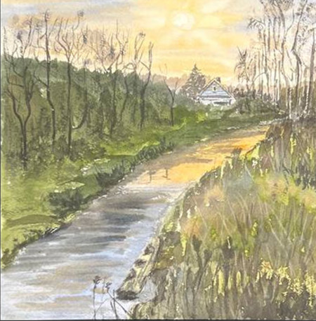 Arroyo del bosque