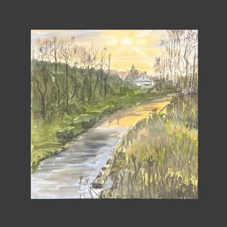 Arroyo del bosque