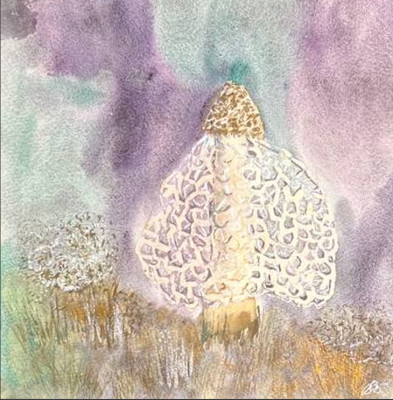 Гриб зонтик