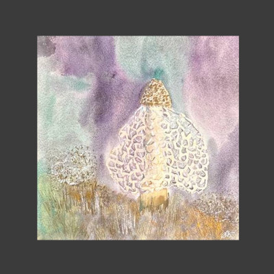 Гриб зонтик